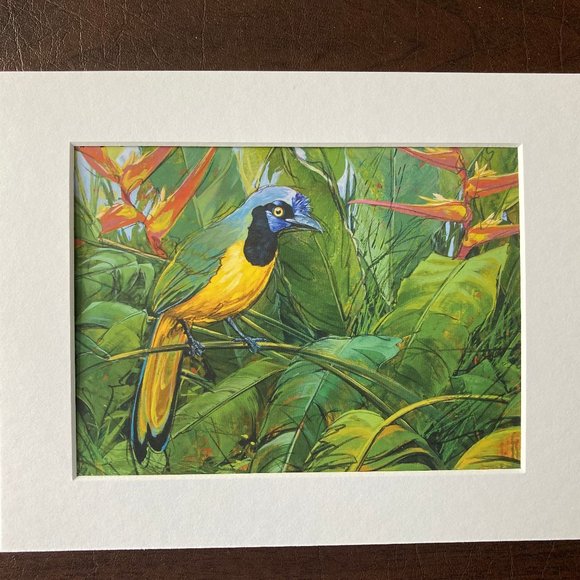 8x10" Colombia Cafe Quindio Art Print (w/mat): Green Jay- HOME - Picture 5 of 8